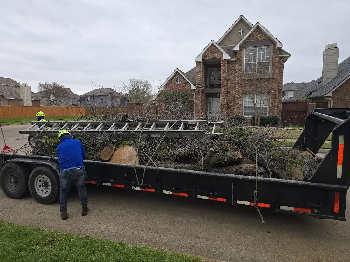 Expert Crown Reduction with proper safety equipment in Western Grove